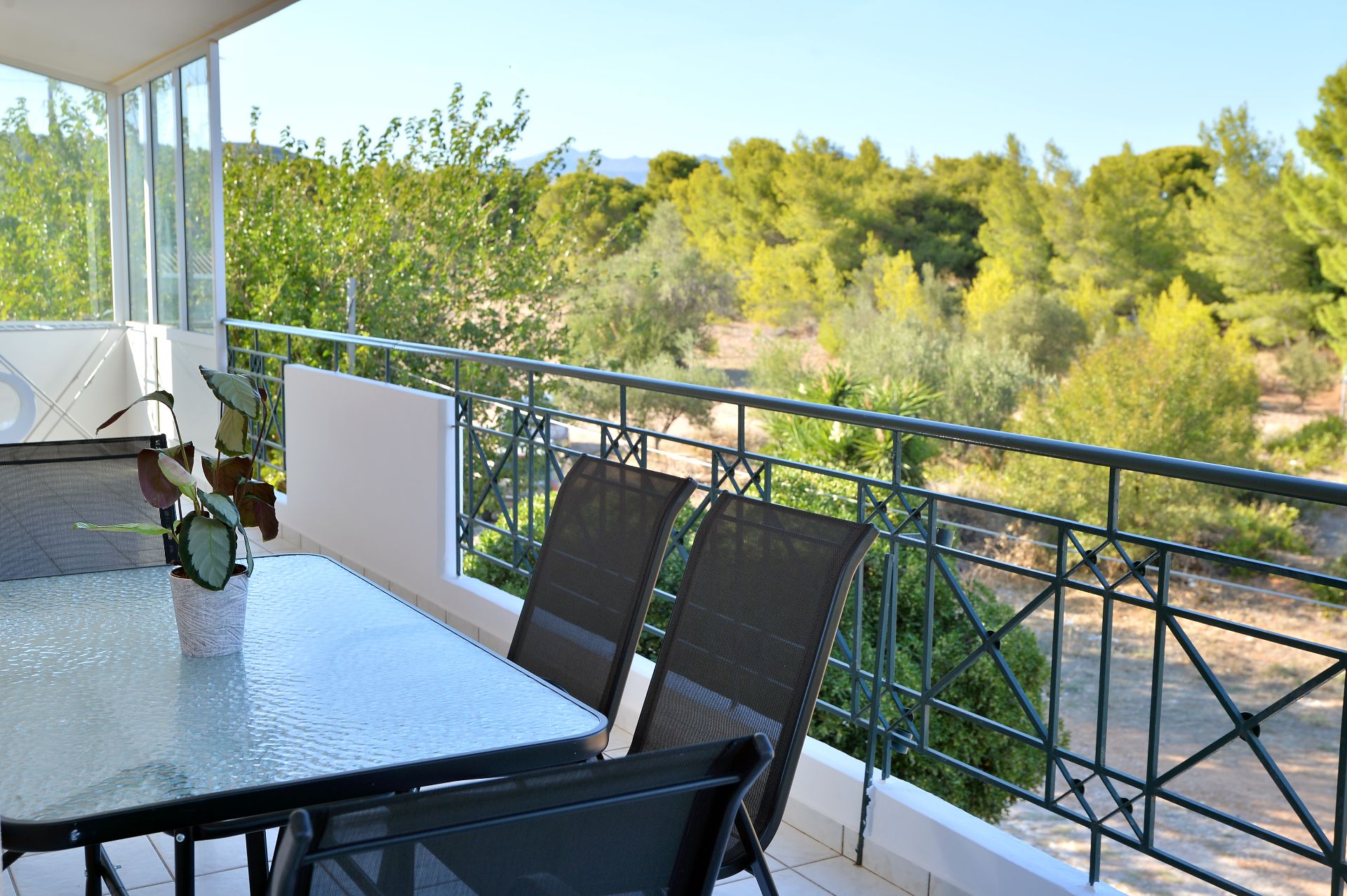 DSC_7796 copy DSC 7796 copy